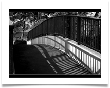 SHADOWS - Des Hawley SHADOWS - Des Hawley